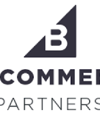 BigCommerce Website Development