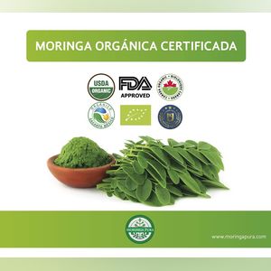 Moringa Puranormalized