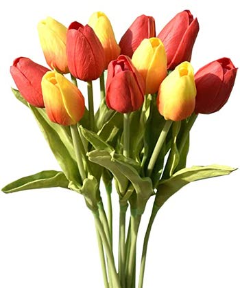 LiquidSeal Tulipan
