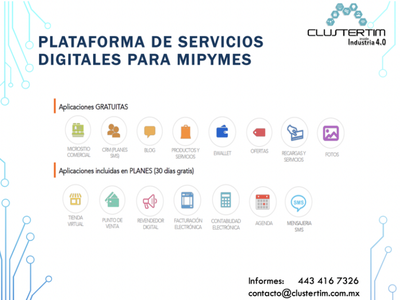 PLATAFORMA DE SERVICIOS DIGITALES PARA  MIPYMES