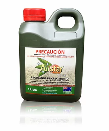 Botella Austar Litro