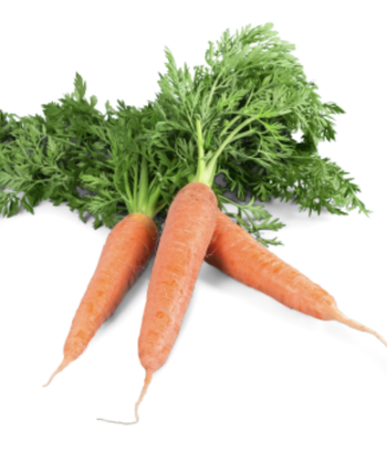 Carrots Wholesale