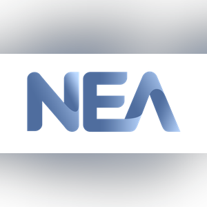 NEAnormalized