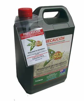 Garrafa de 5L Austar