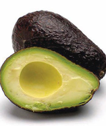 LiquidSeal Aguacate